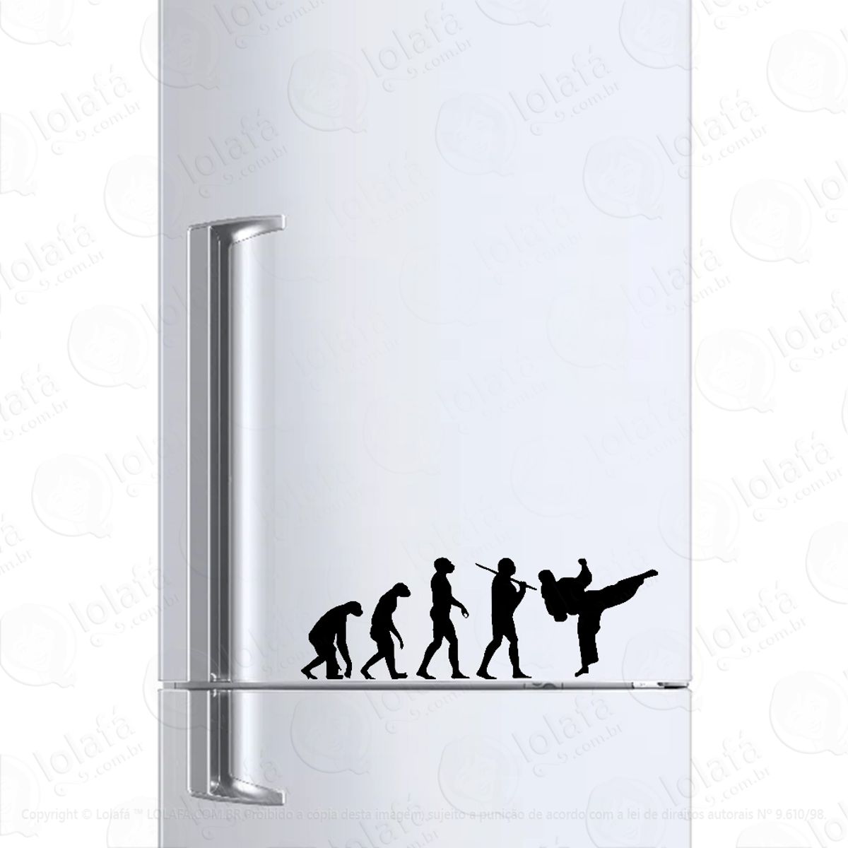 Adesivo Para Geladeira Evolução Luta Artes Marciais Mod:1390