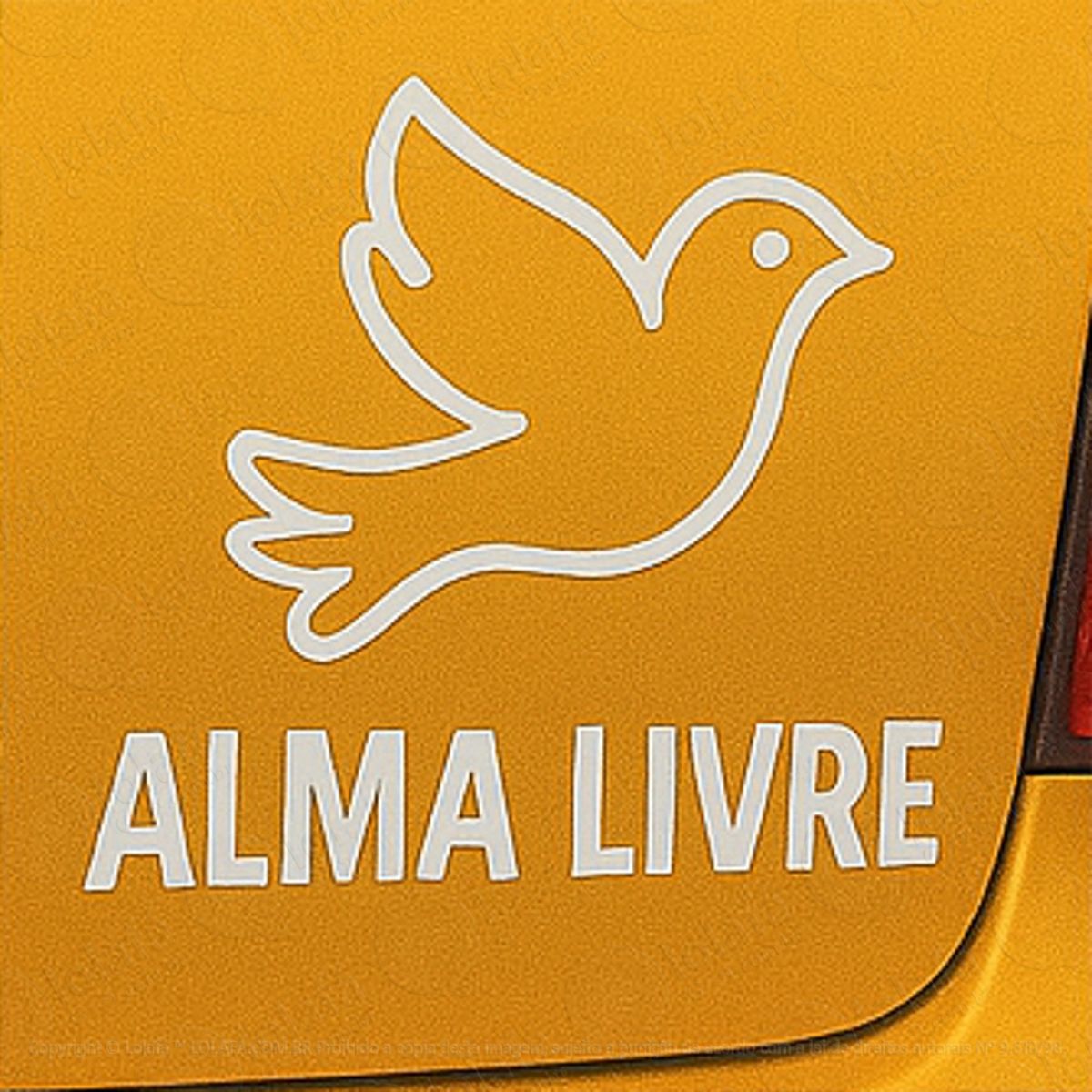 Pássaro Alma Livre Adesivos Para Carro Mod:322