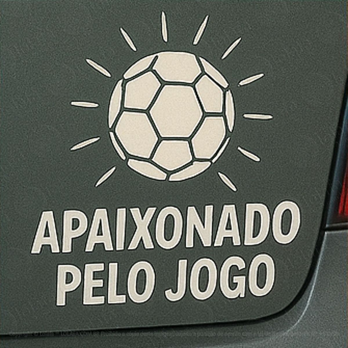 Apaixonado pelo Jogo Handbol Adesivos Para Carro Mod:348