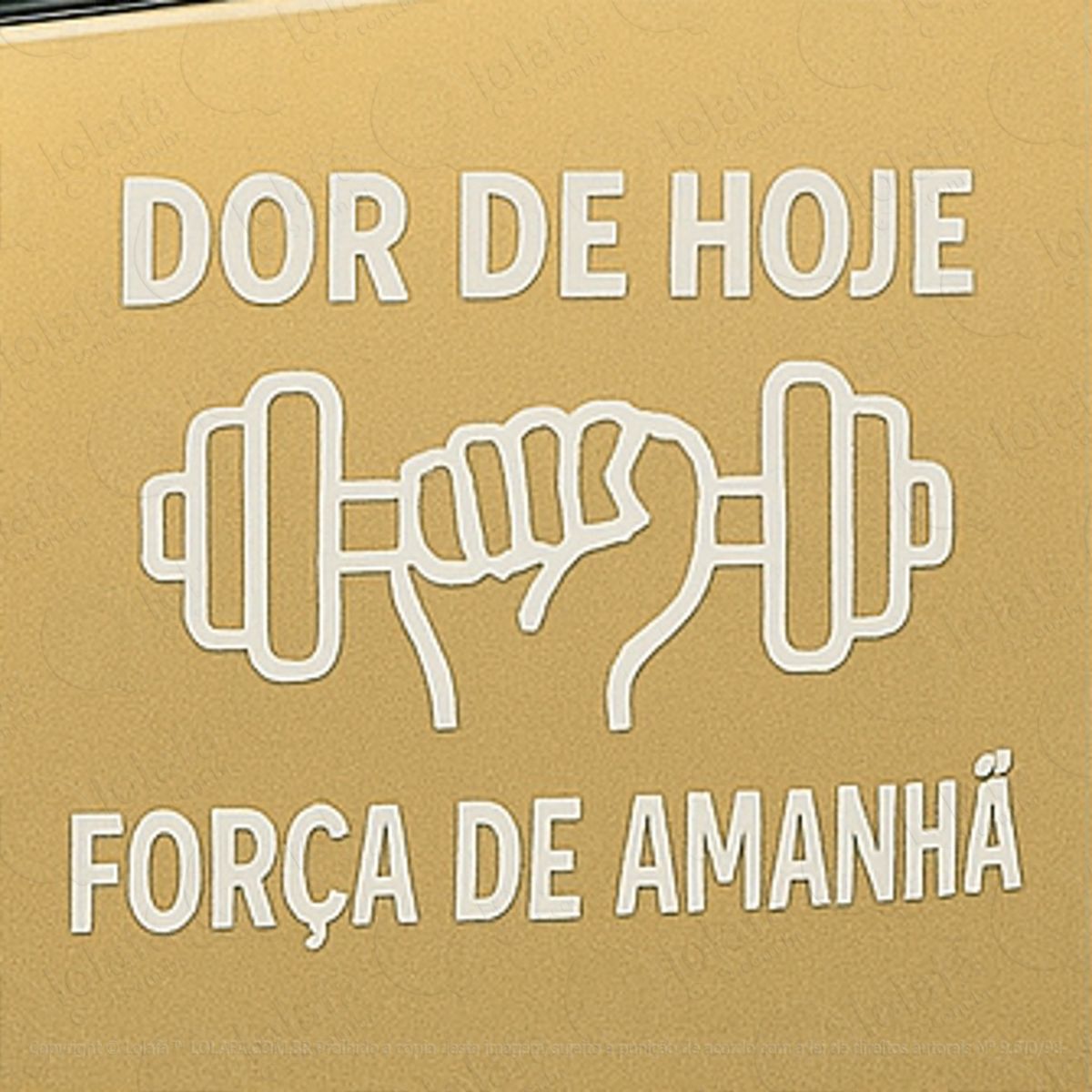 Dor de Hoje Força de Amanhã Academia Treino Adesivos Para Carro Mod:375